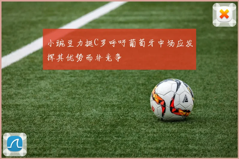 小豌豆力挺C罗呼吁葡萄牙中场应发挥其优势而非竞争