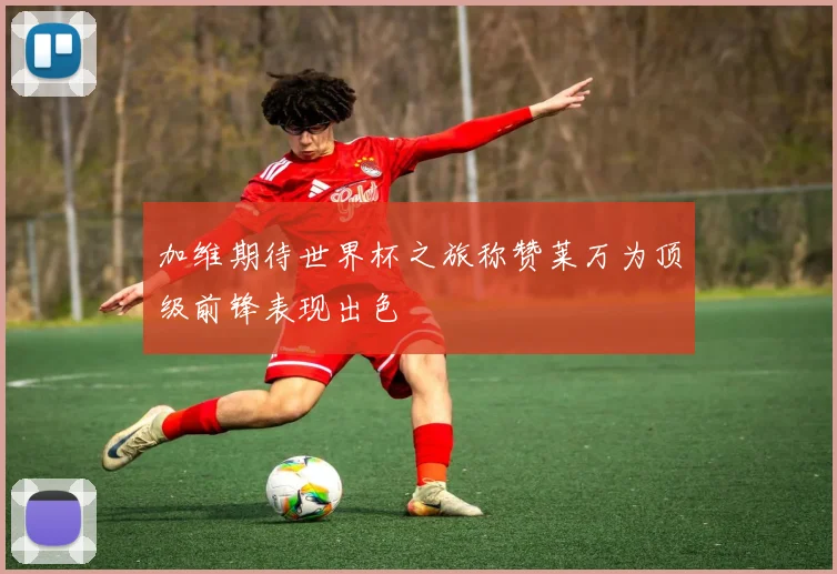 加维期待世界杯之旅称赞莱万为顶级前锋表现出色