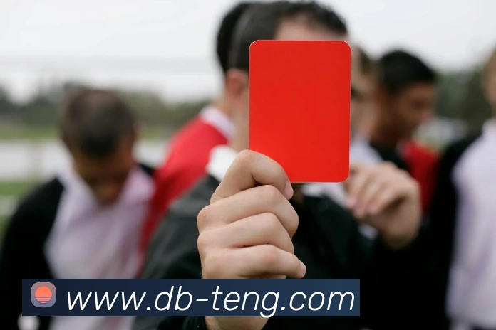 DB真人APP 封面图